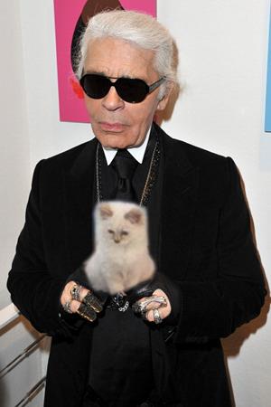 Choupette, the Karl Lagerfeld's kitty cat book